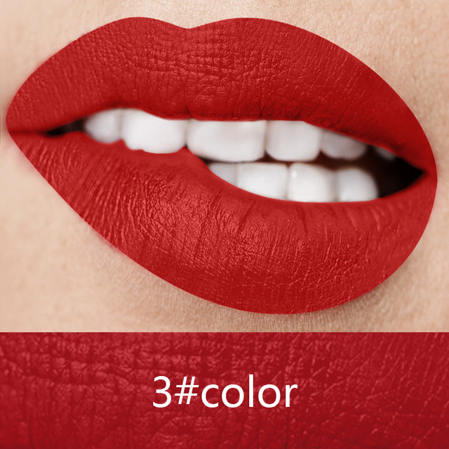 Lip Gloss Color Makeup